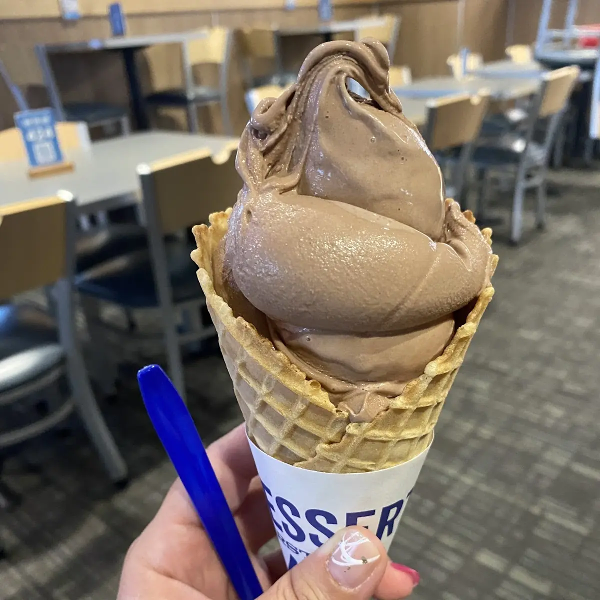 Chocolate Ice Cream