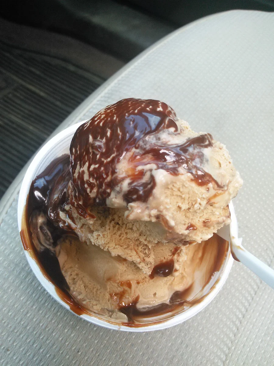 Hot Fudge on Coffee Ice Cream