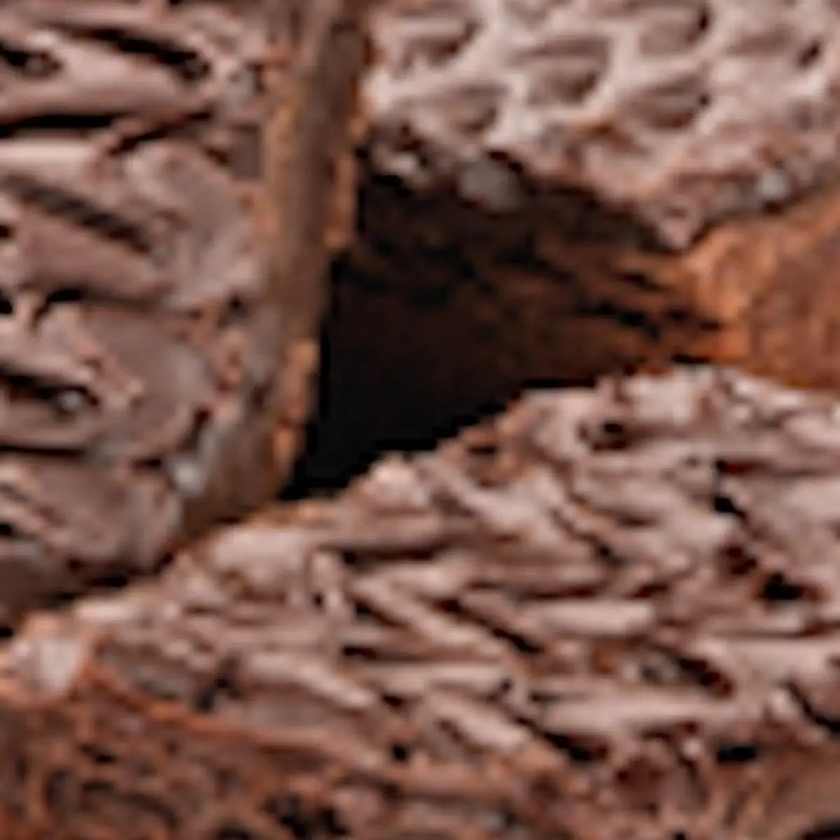 Chocolate Brownie