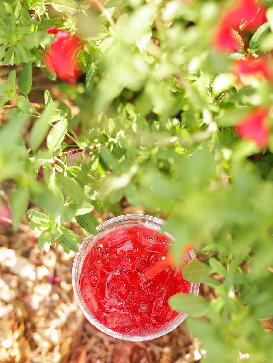 Strawberry Slush