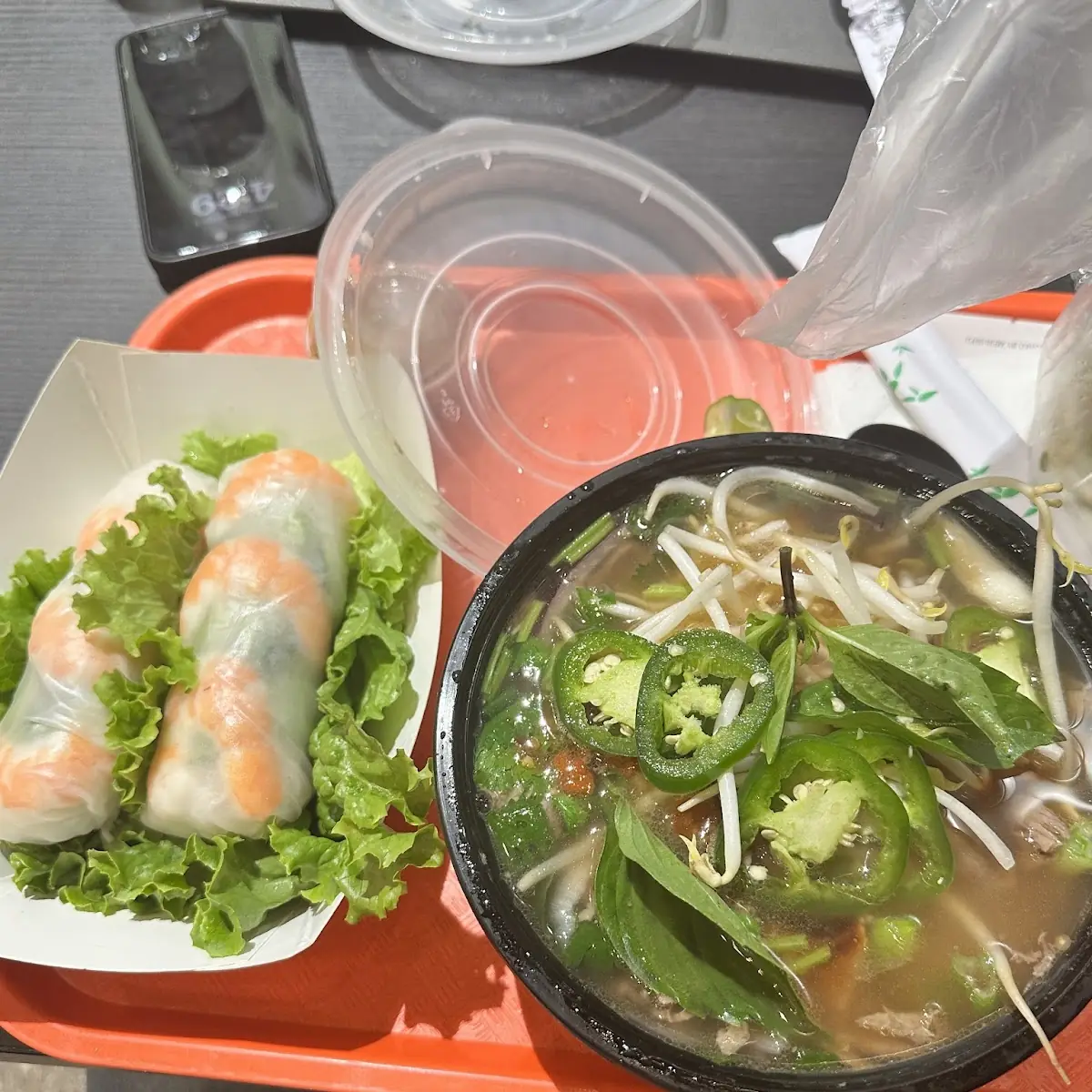 Spring Rolls on Rice Vermicelli