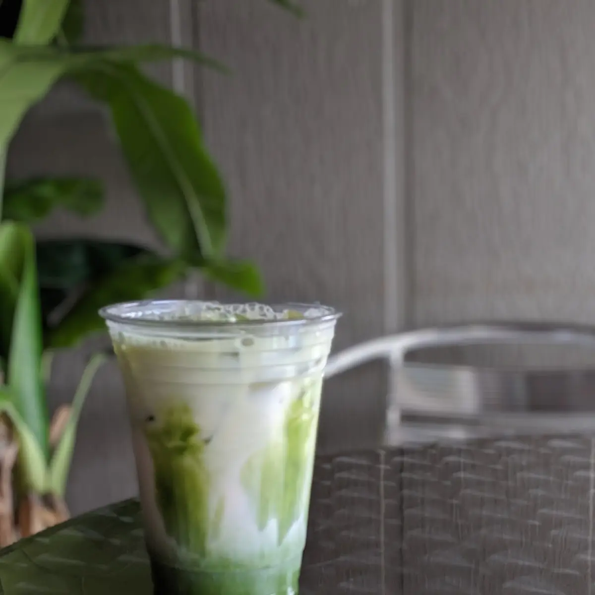 Iced Matcha Latte