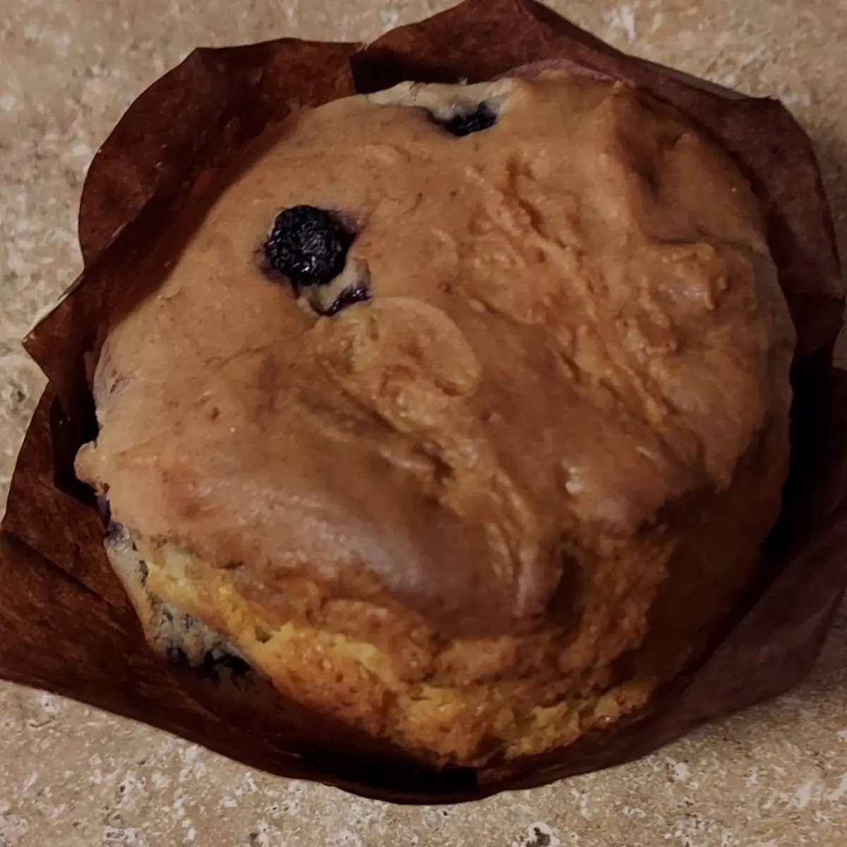 Blueberry Muffin