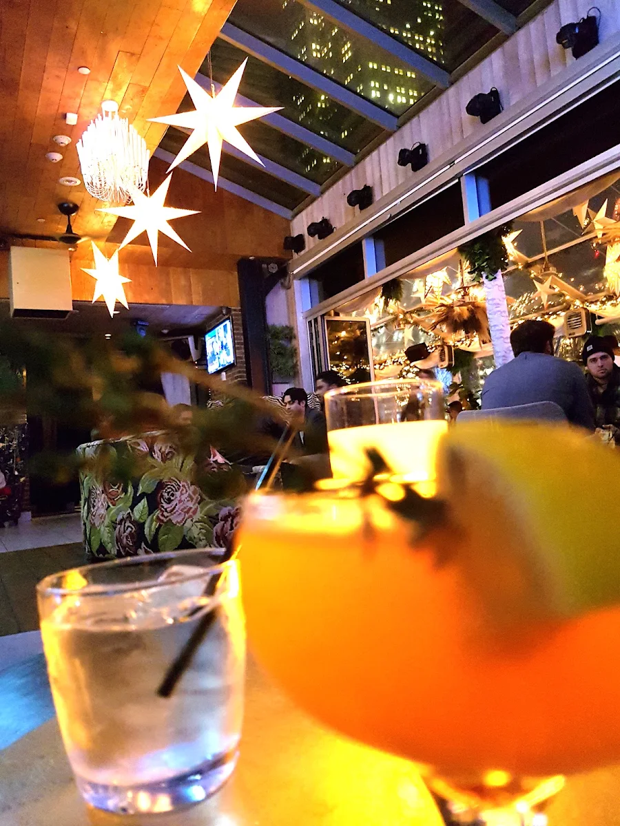 Gin Tonic