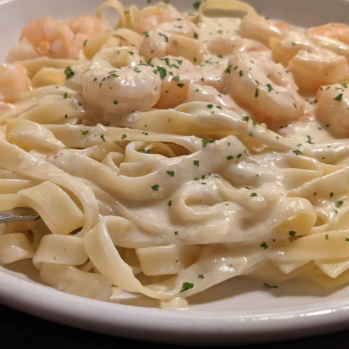 Shrimp Alfredo