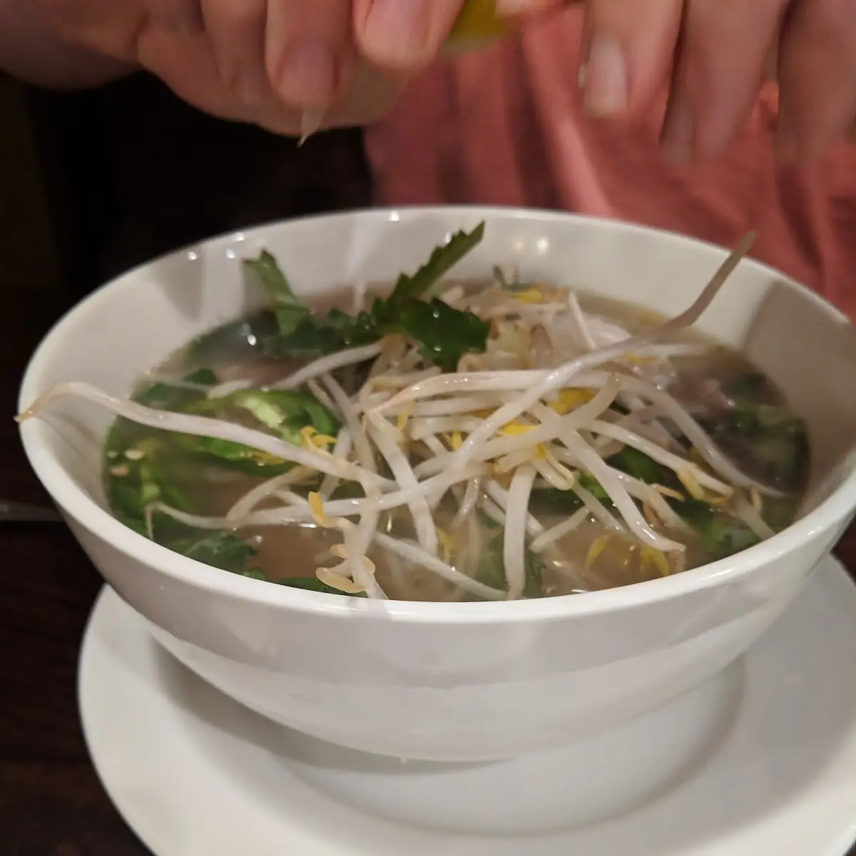 Beef Pho & Tripes