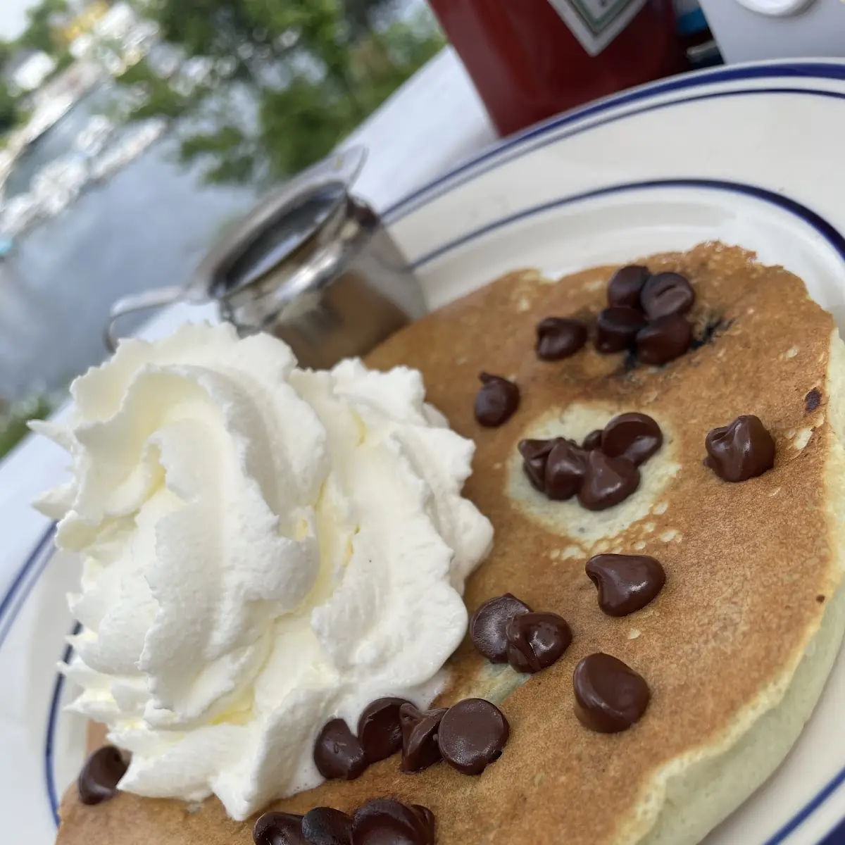 Chocolate Chip