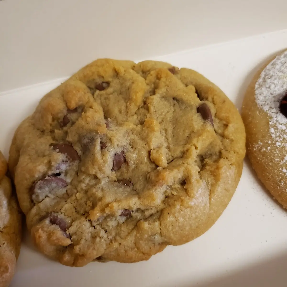 Chocolate Chip Cookie