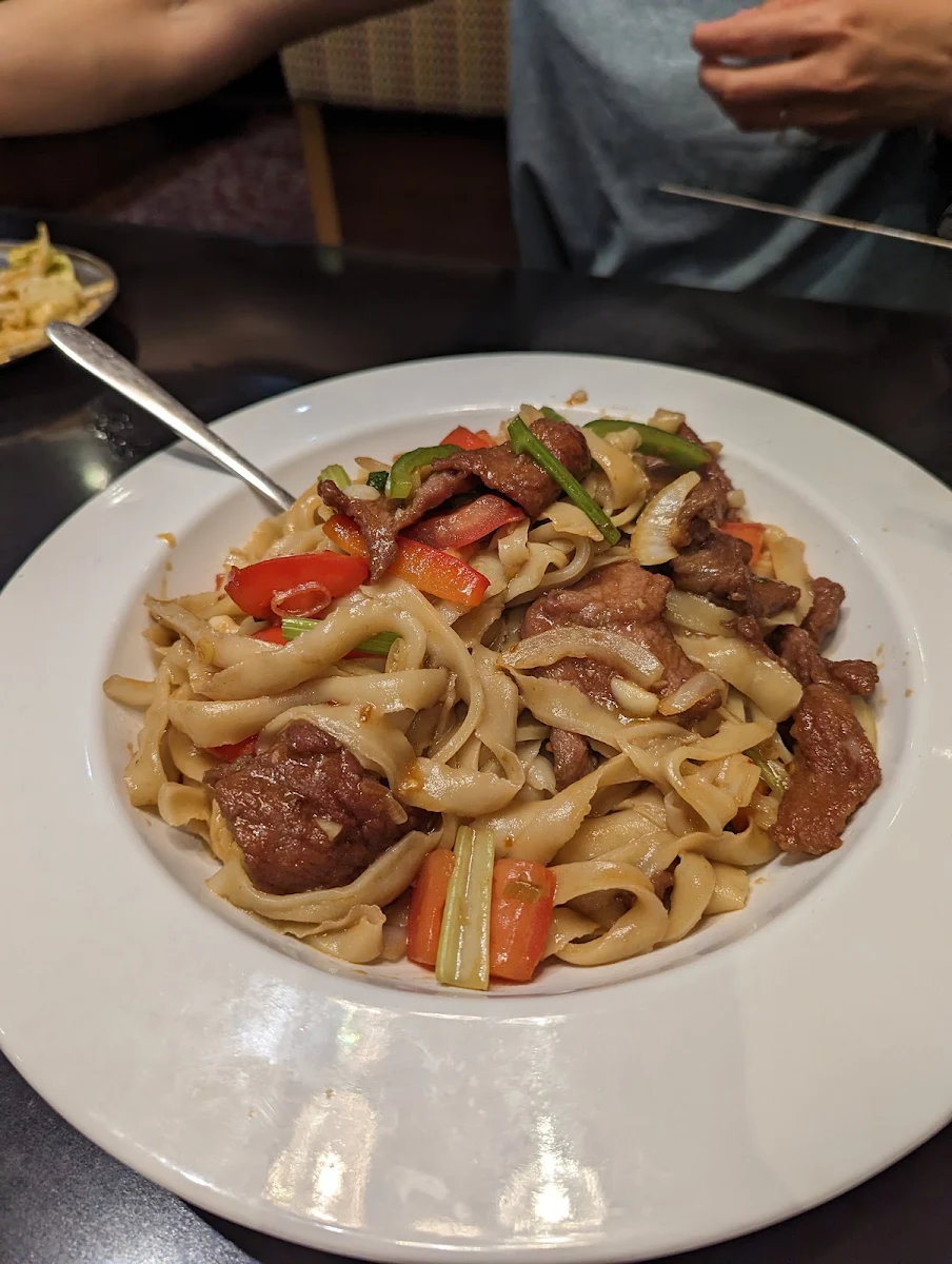 Sliced Noodles with Beef, Noodle Fans