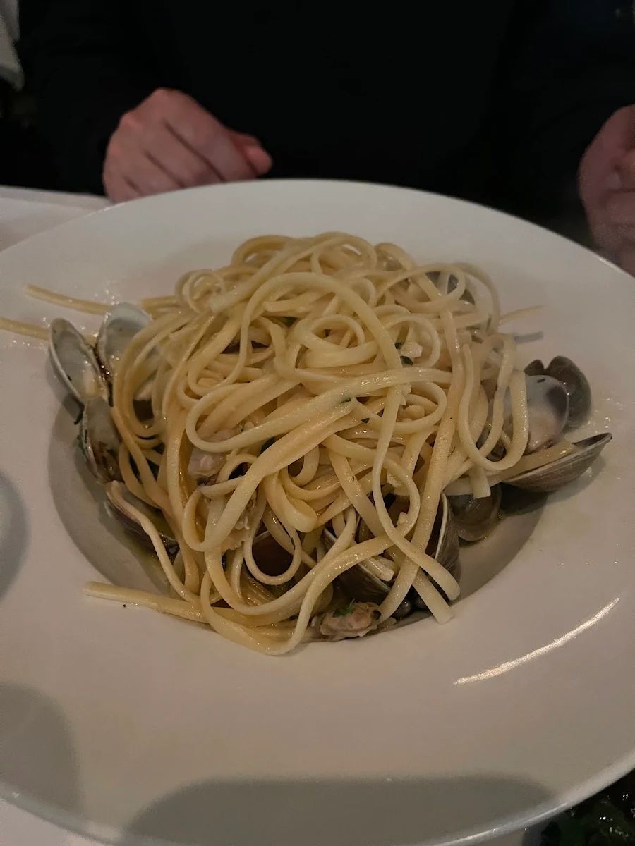 Pasta Clam Pasta, Tutto Bene Osteria Ltd