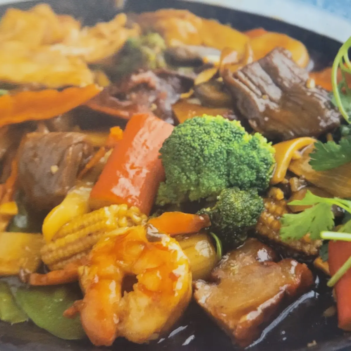 Beef with Broccoli in Garlic Sauce
