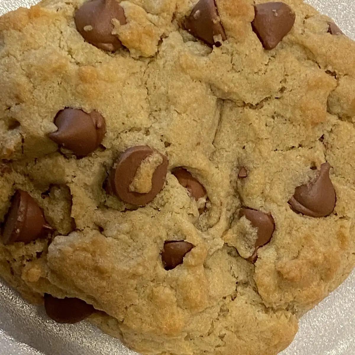 Milk Chocolate Cookie