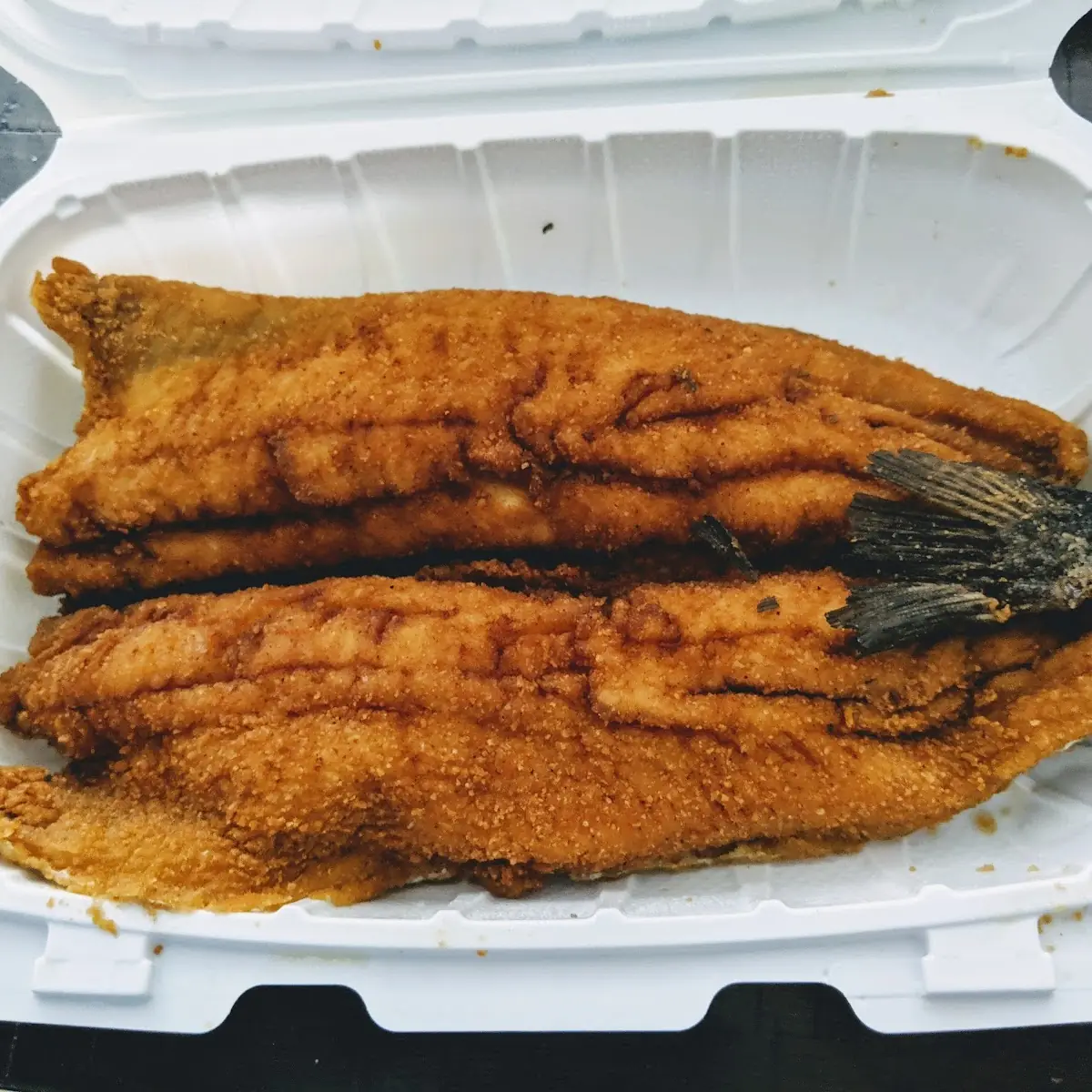 Fried Rainbow Trout