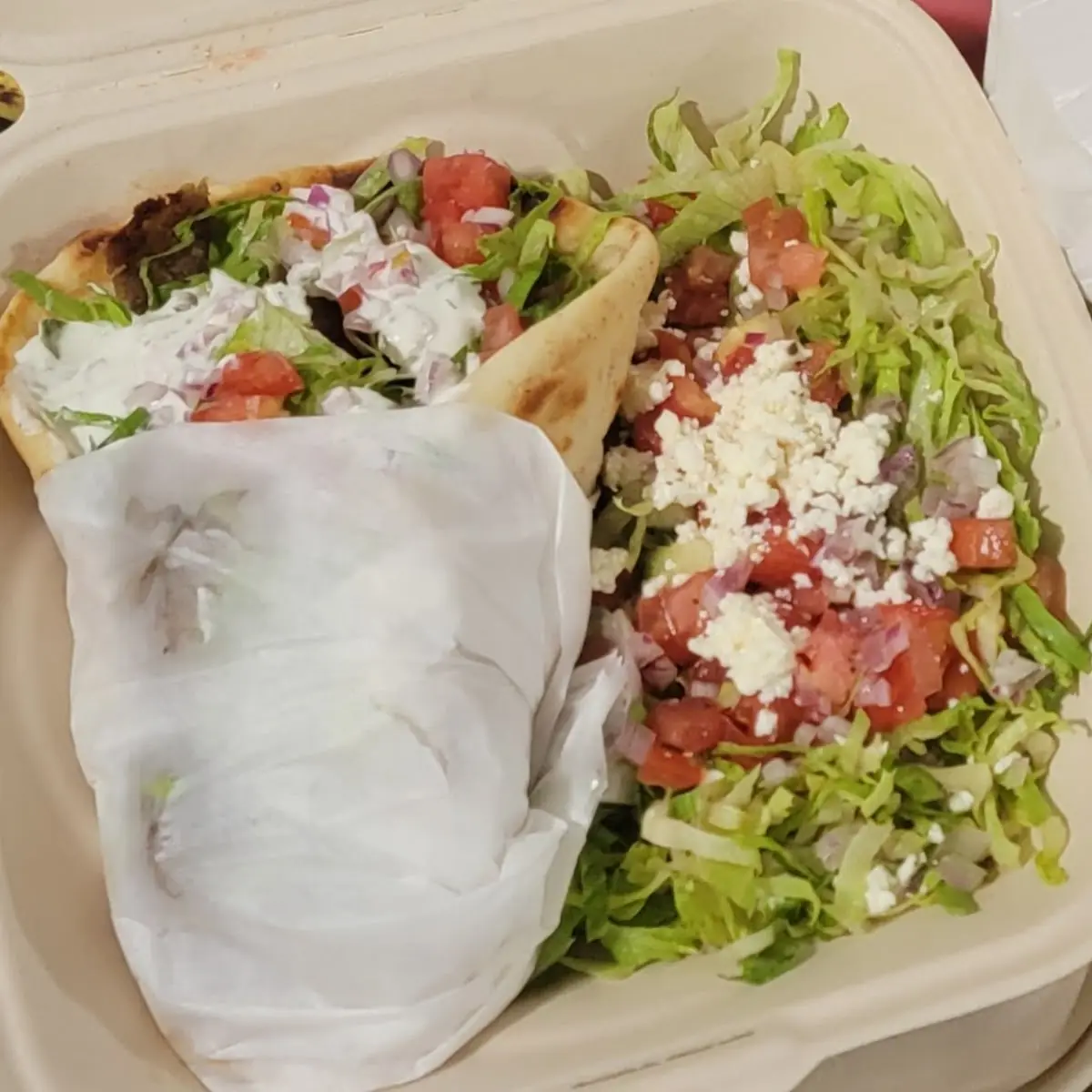 Gyro Sandwich with Garnish Salad
