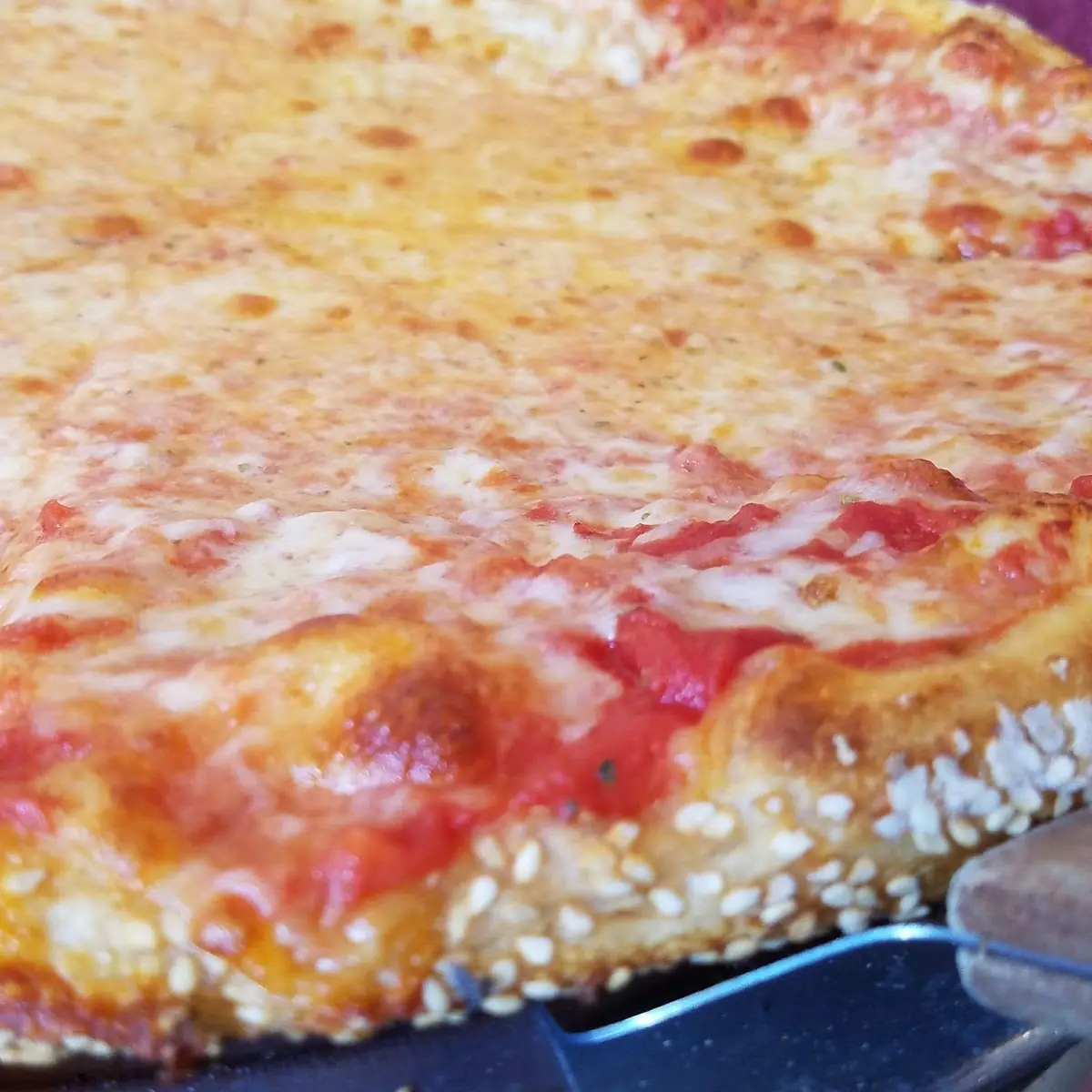 Extra Cheese Pizza