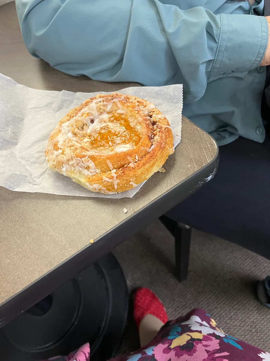 Apricot Fruit Danish
