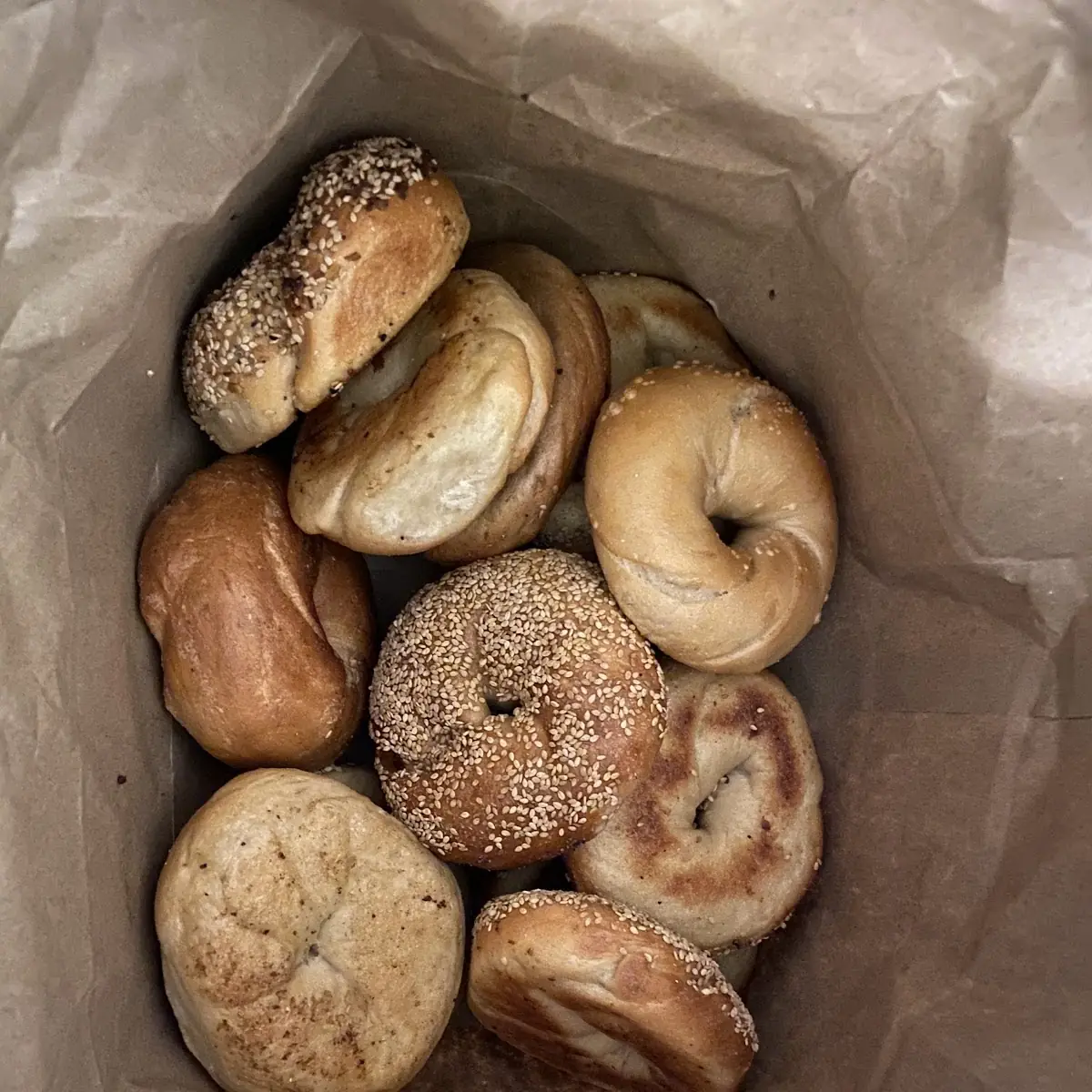 Assorted Bagels