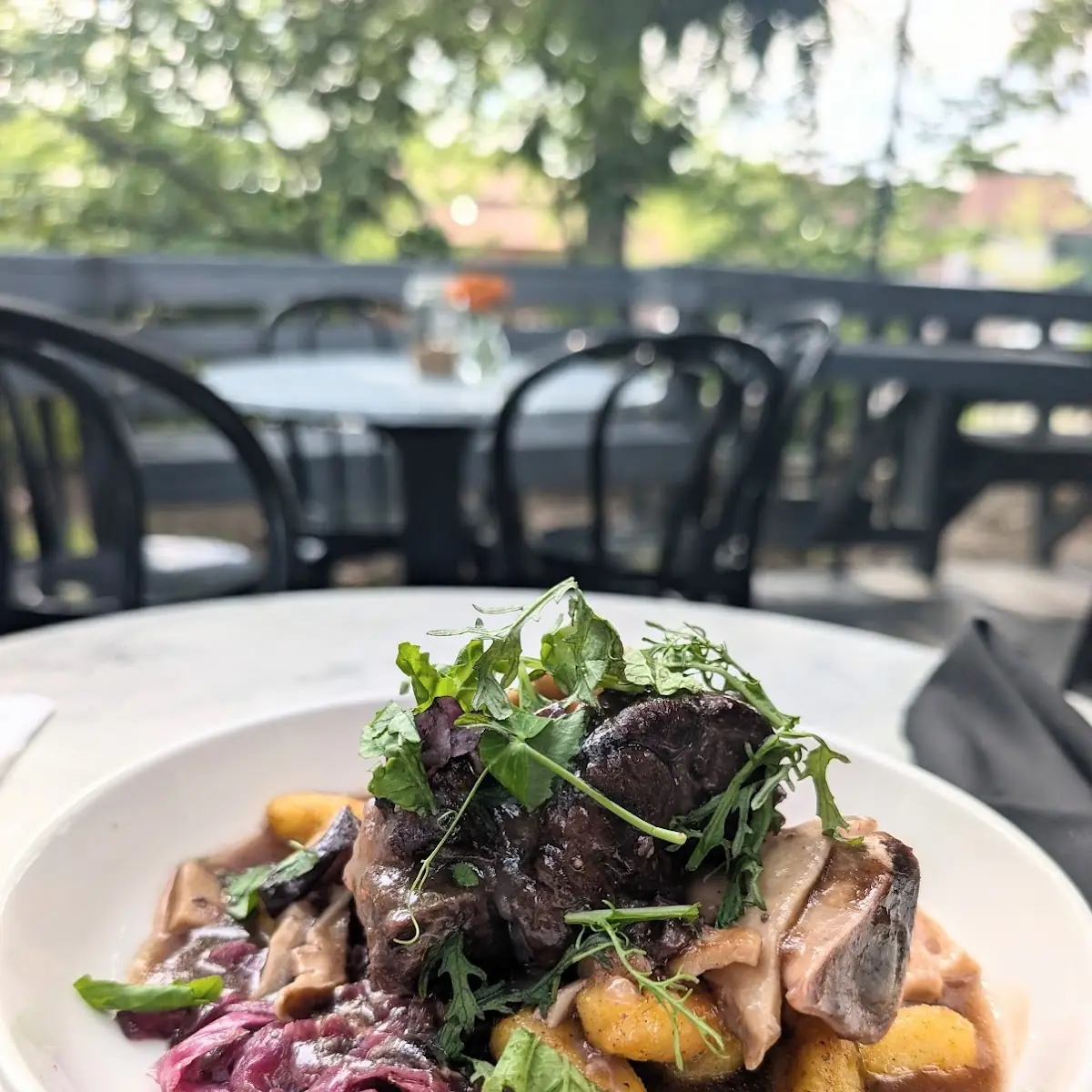 Lamb Shank