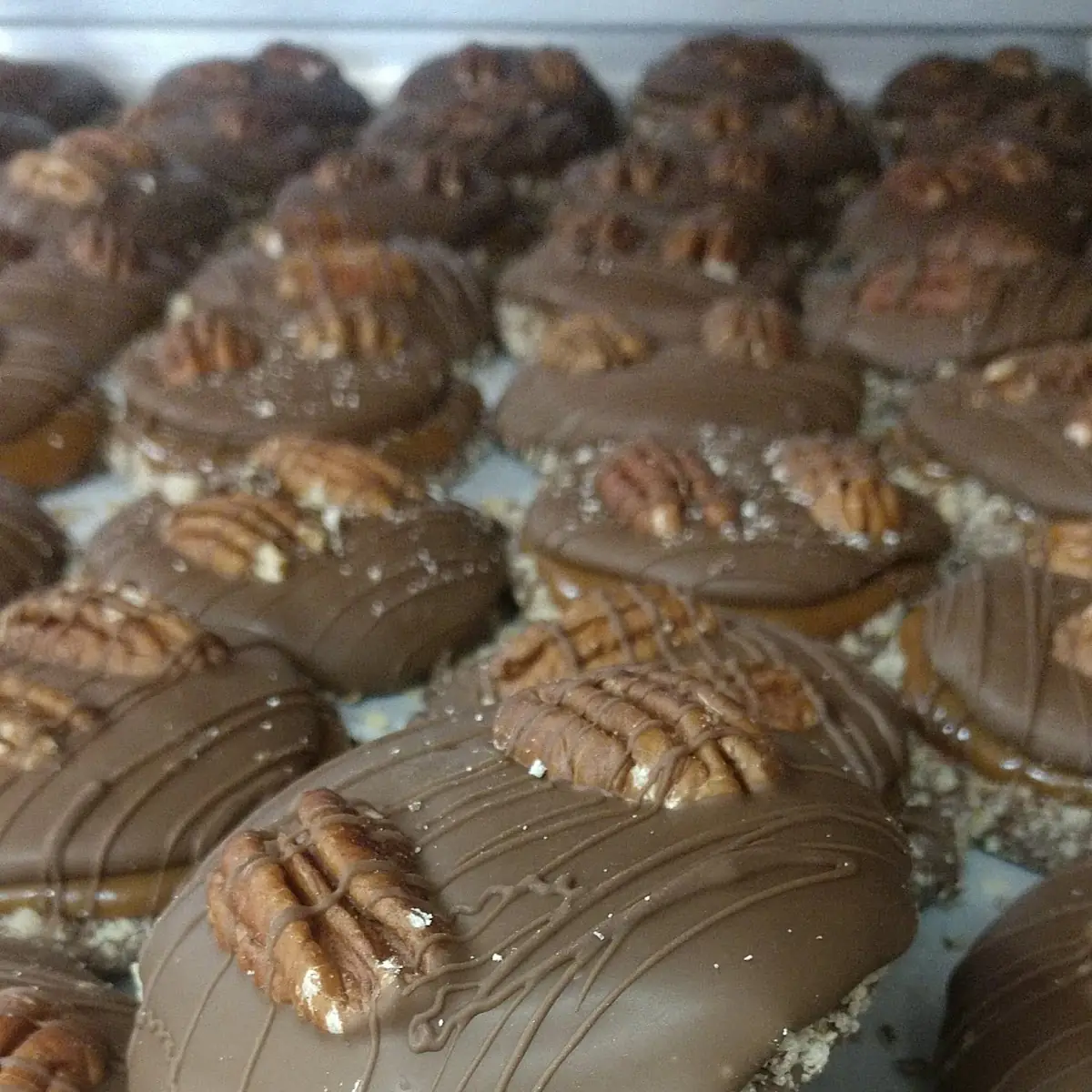 Milk Chocolate Turtles