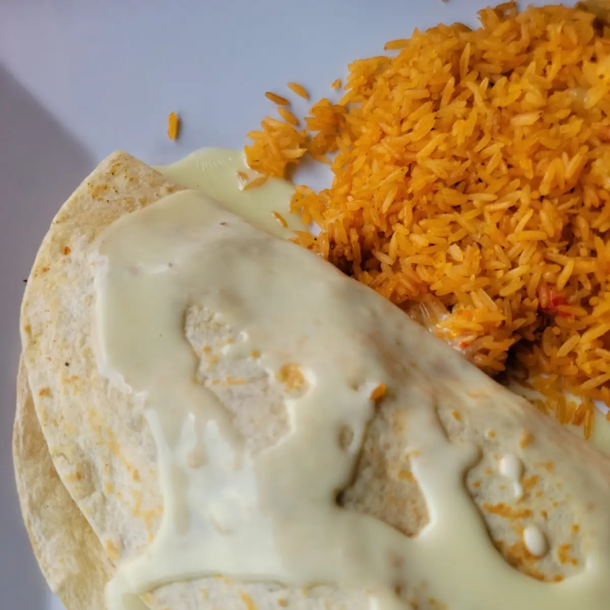 Steak Quesadilla and Spanish Rice