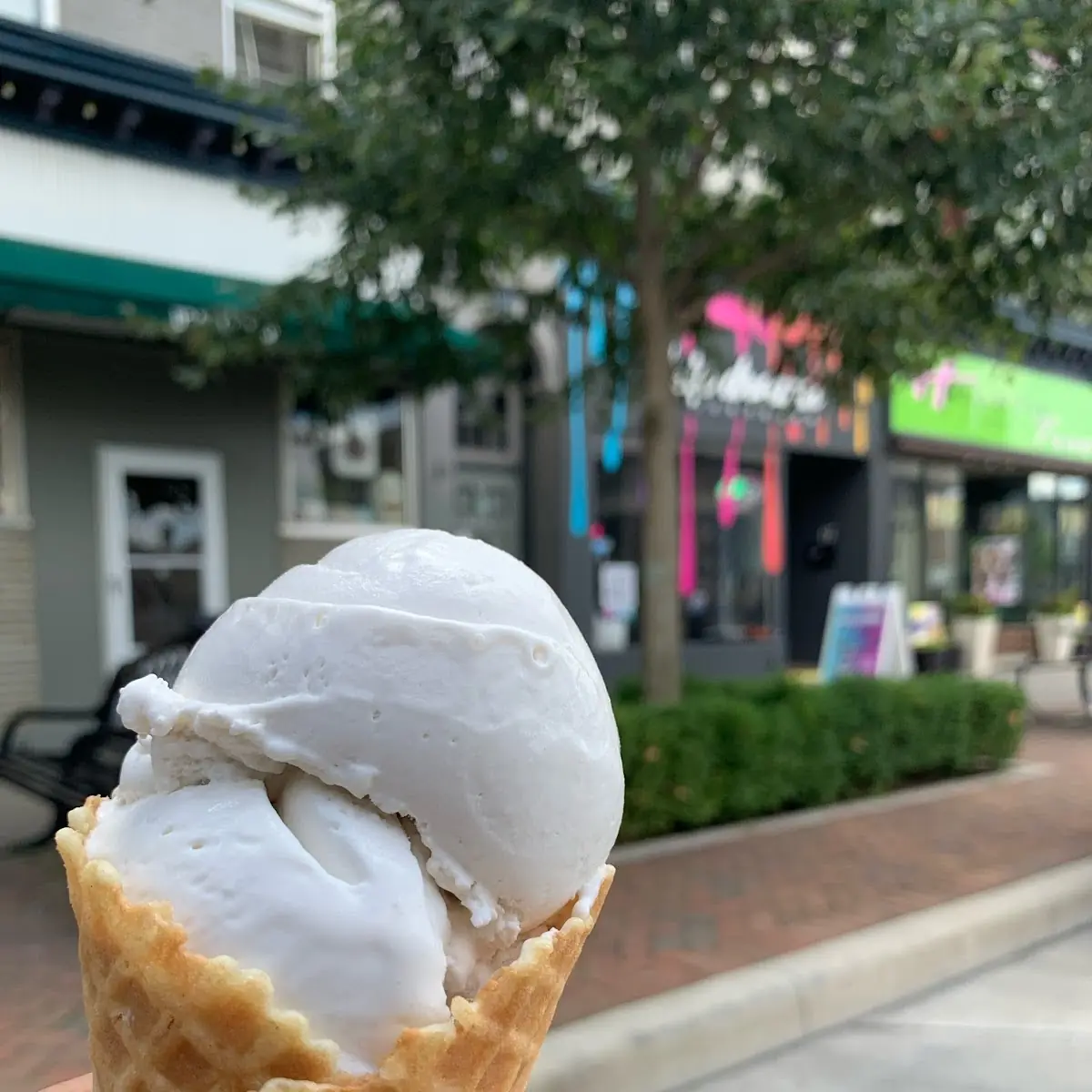 Vegan Ice Cream Cone
