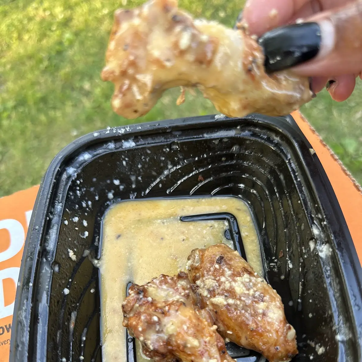 Garlic Parmesan Wings