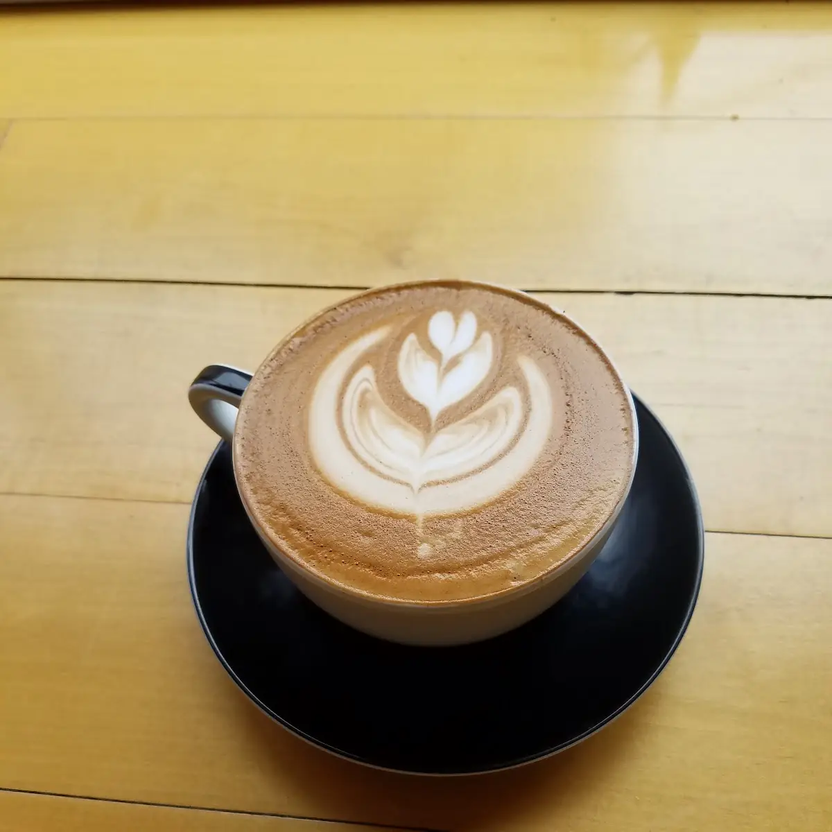 Oat Milk Latte Dark Roast