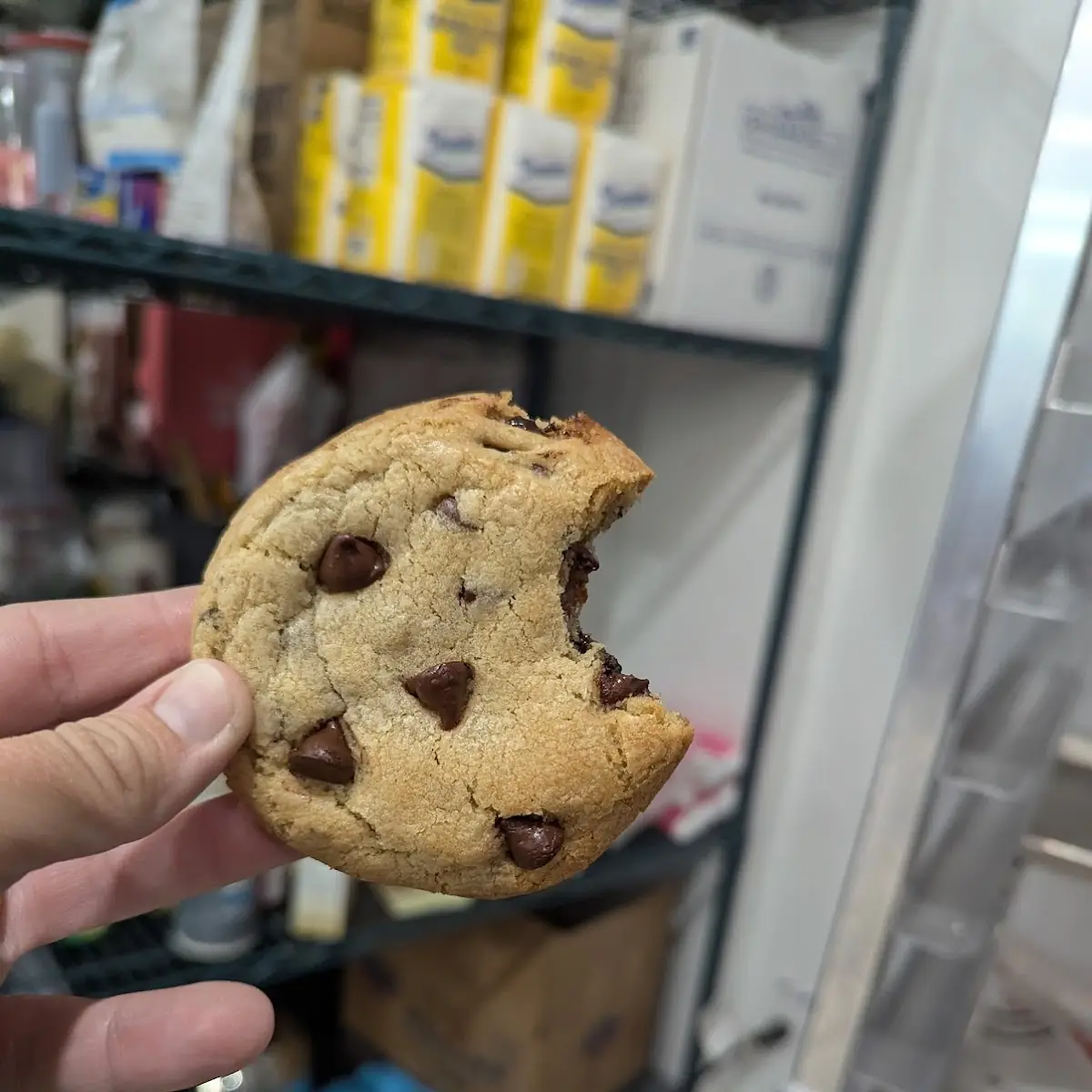 Chocolate Chip Cookie