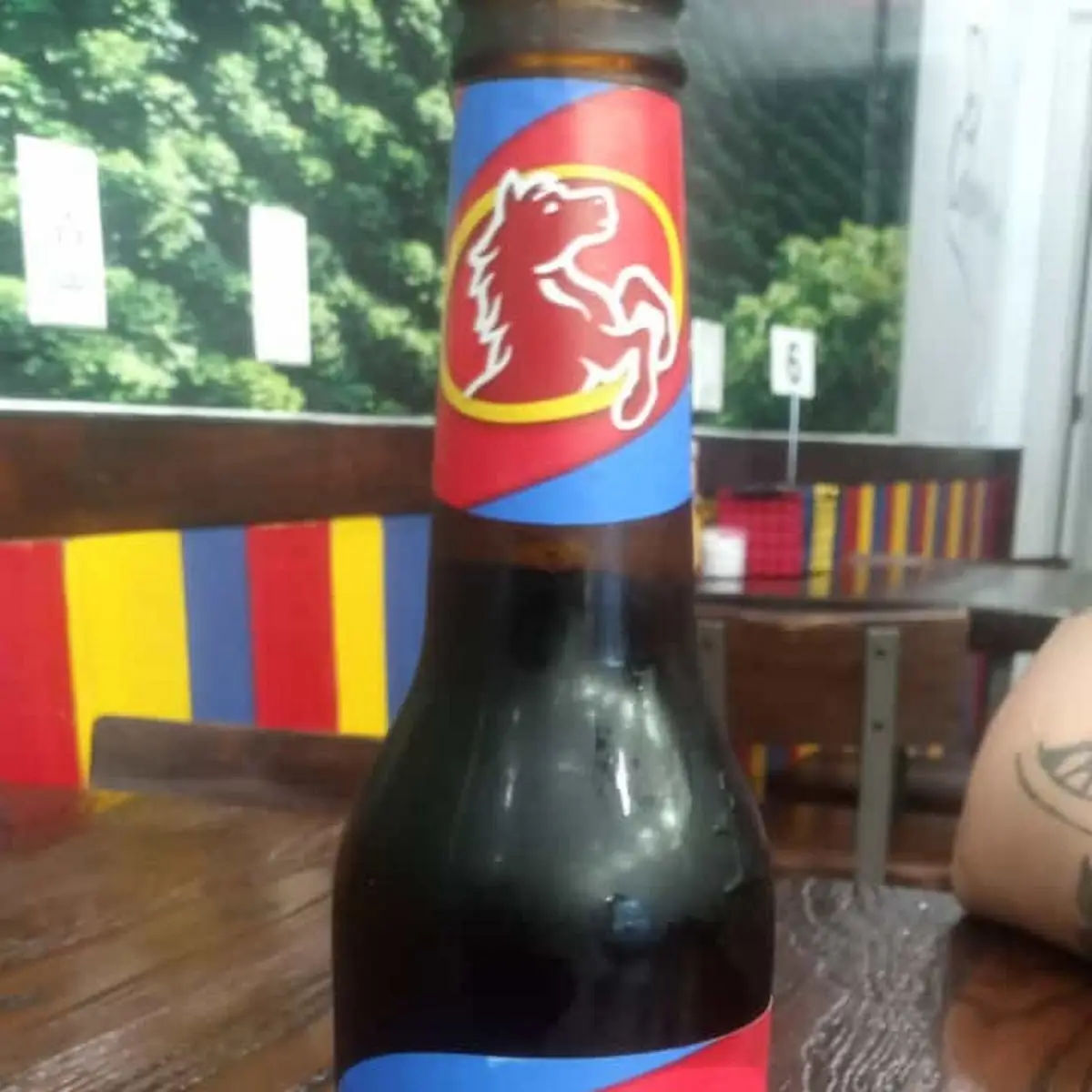 Pony Malta