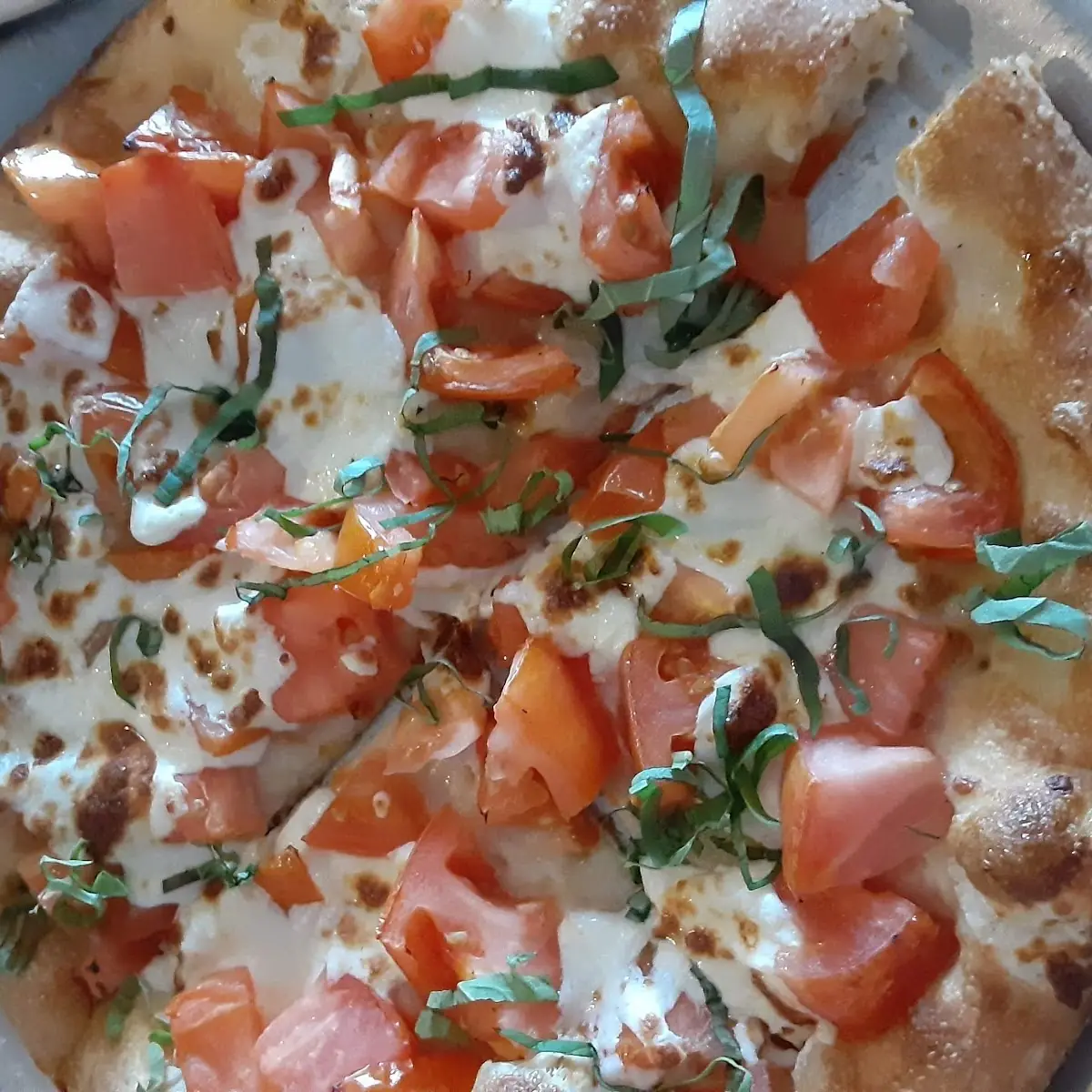Margarita Pizza