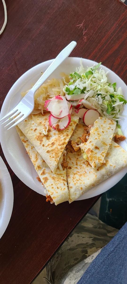 Carne Al Pastor Quesadilla