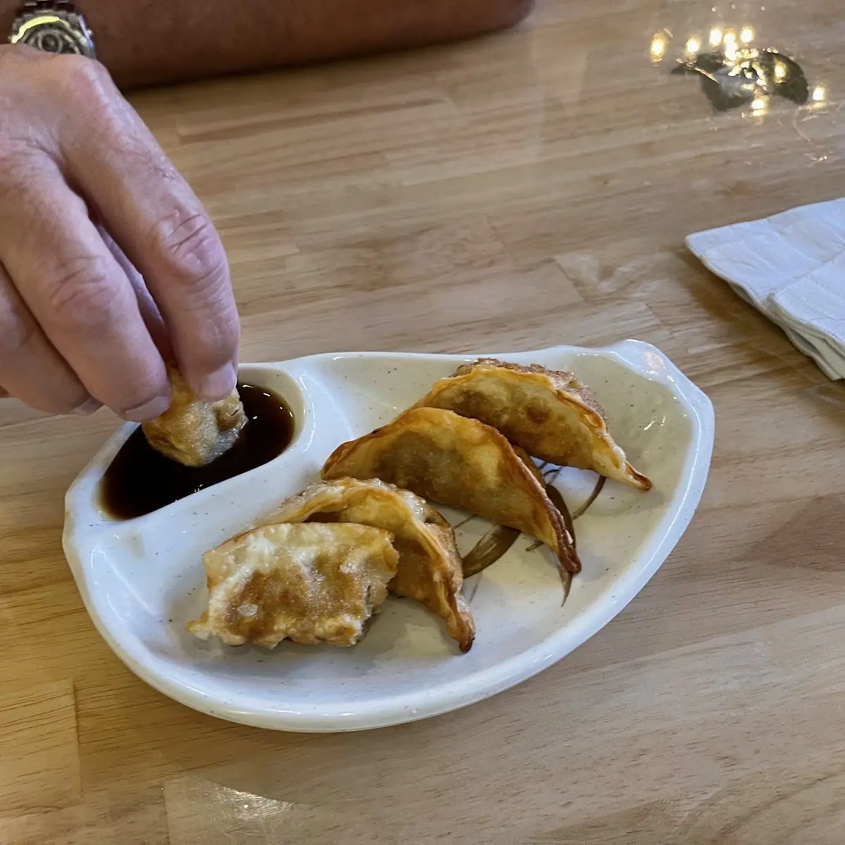 Gyoza Fried Dumpling