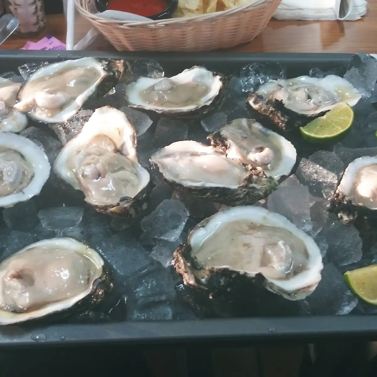 Oysters on the Half Shell