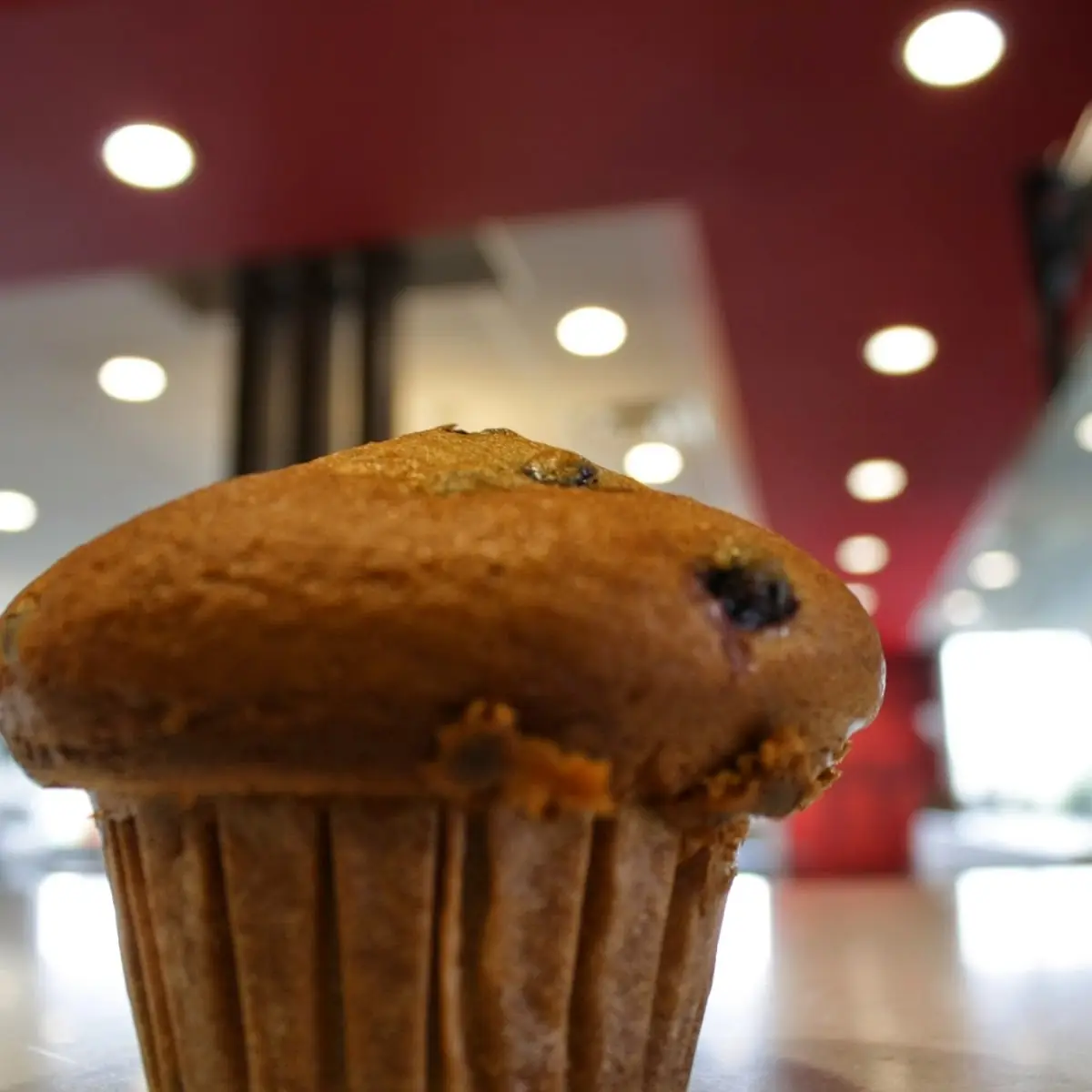Blueberry Muffin