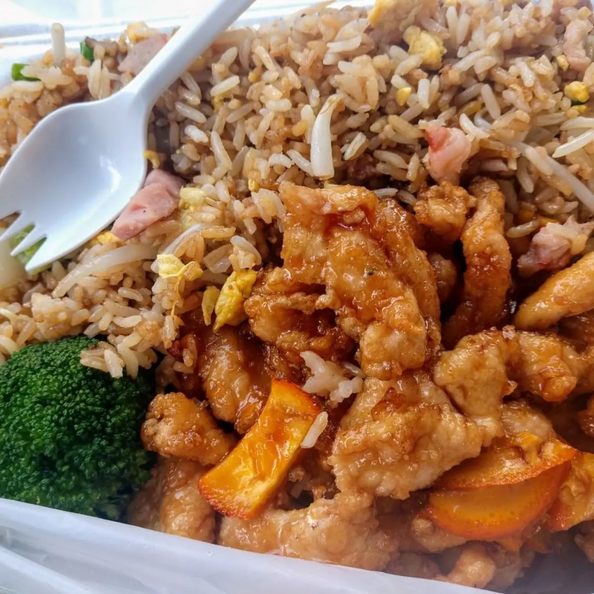 Subgum Chicken Chow Mein