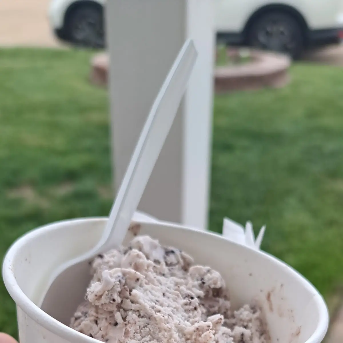 Chocolate Chip Cookie Ice Cream