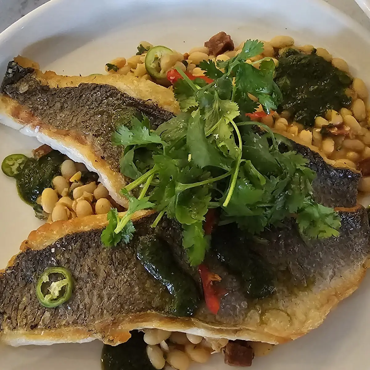 Sea Bass