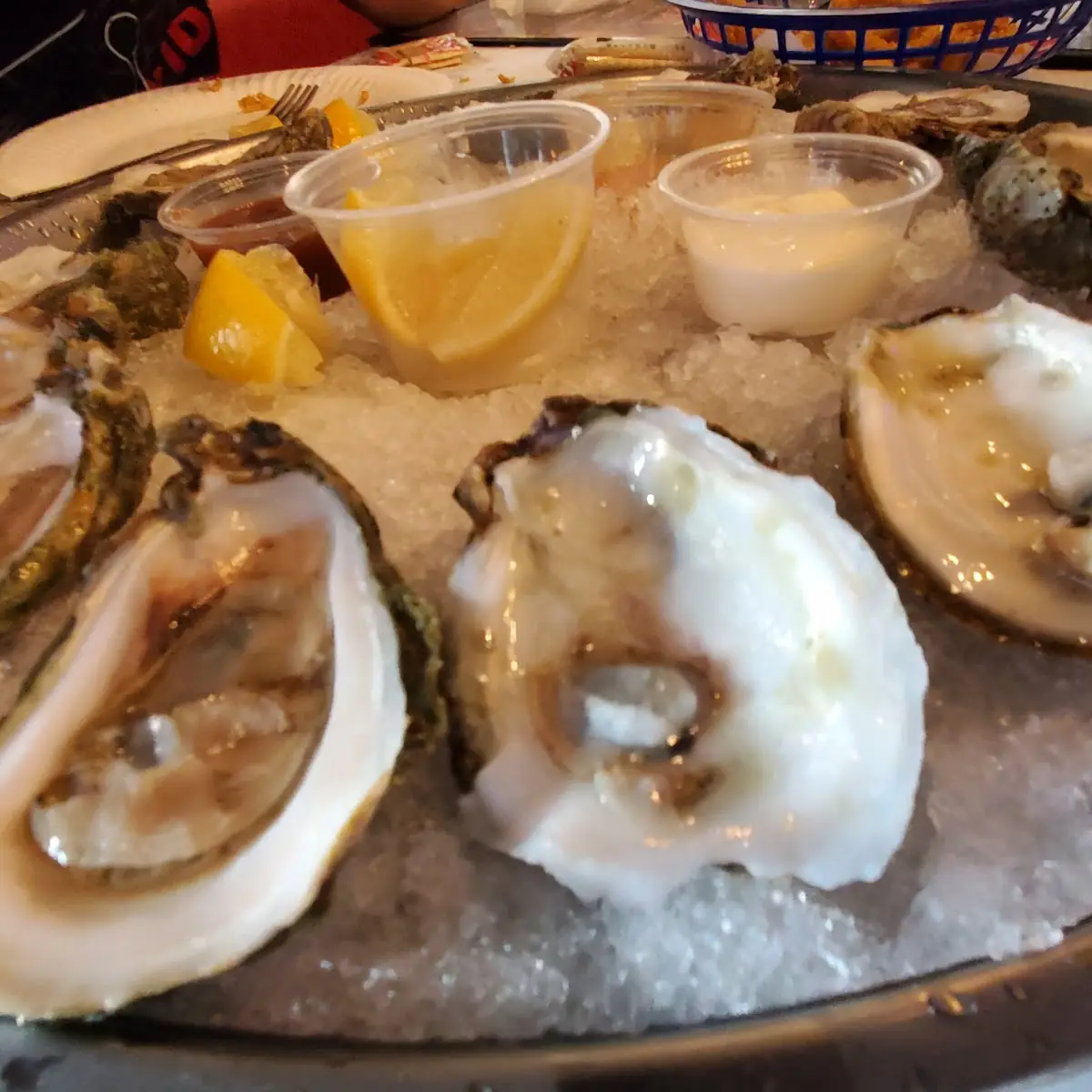 Oysters on the Half Shell