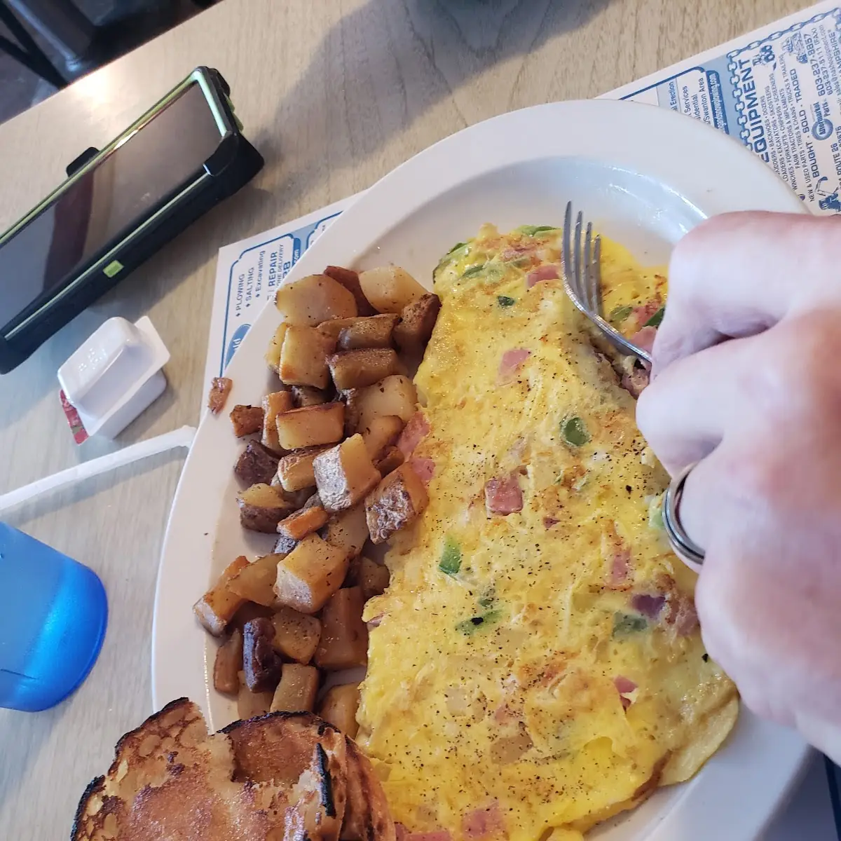 Western Omelette