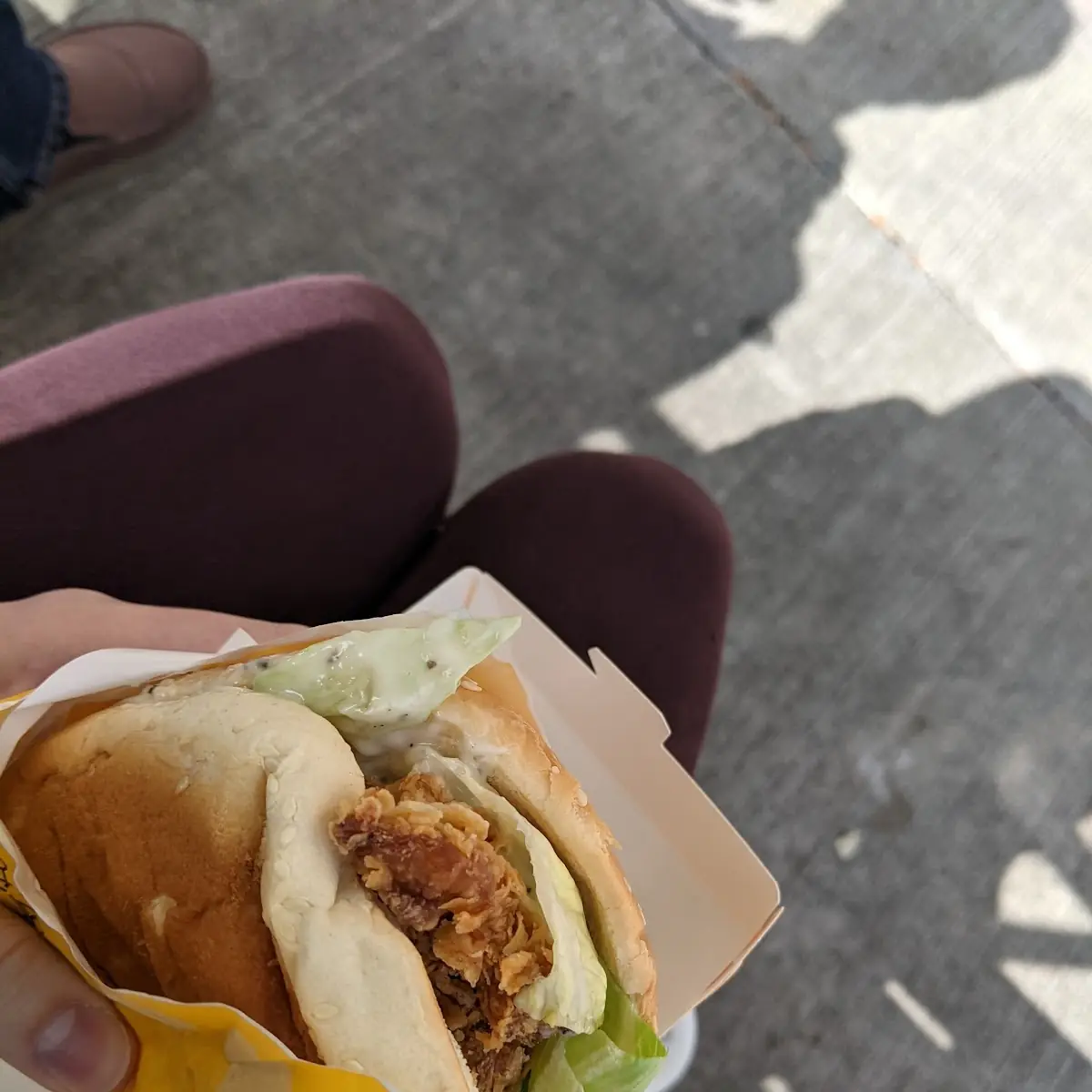 Hot Spicy Chicken Thigh Burger