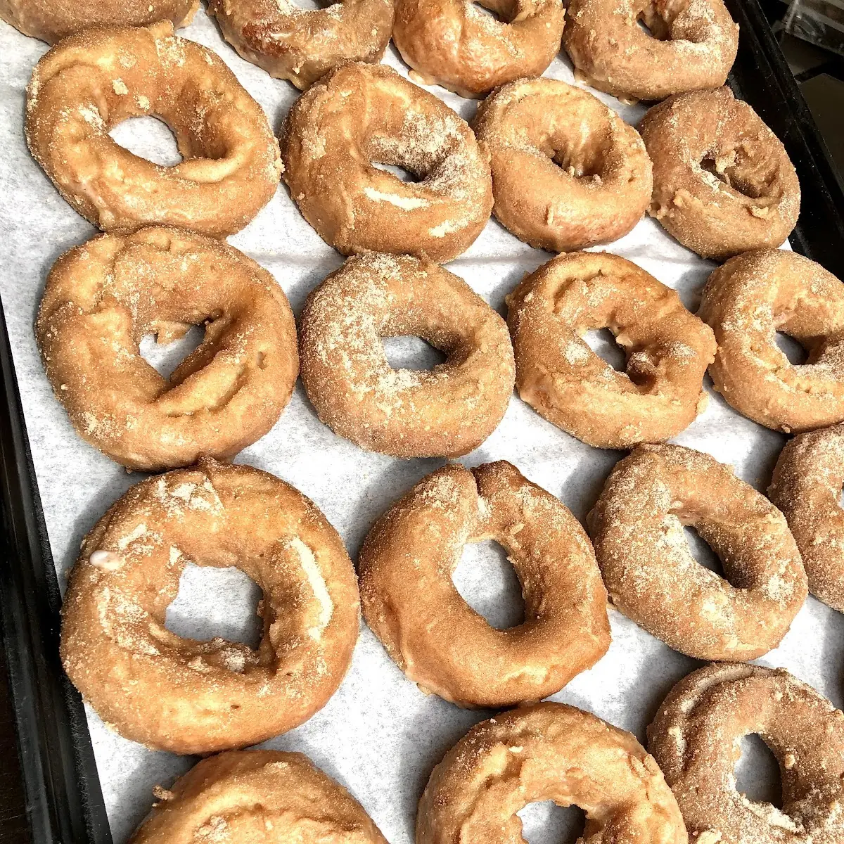 Cinnamon Sugar Yeast Donut not Glazed