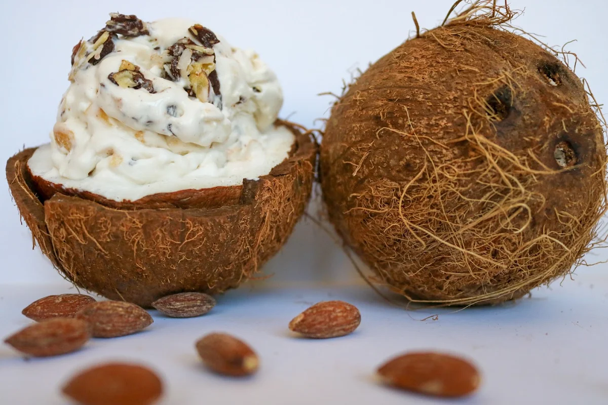 Coconut Chocolate Fudge Ice Cream