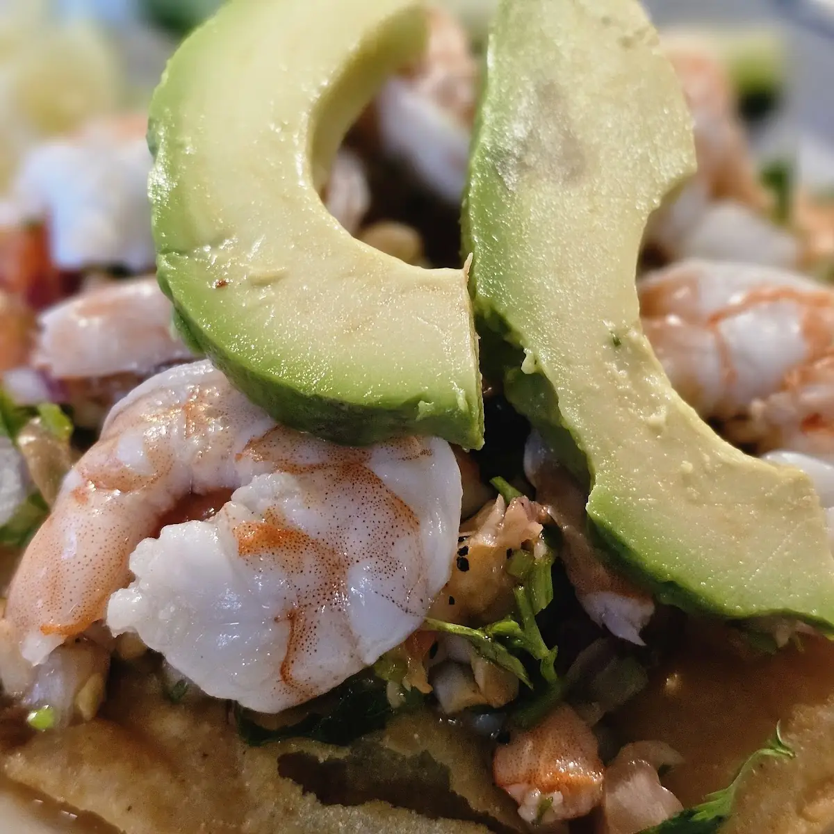 Shrimp Ceviche Tostada