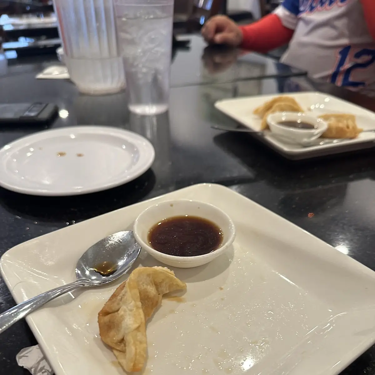 Fried Chicken Dumplings