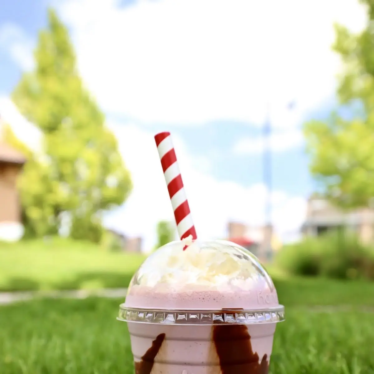 Ice Cream Float