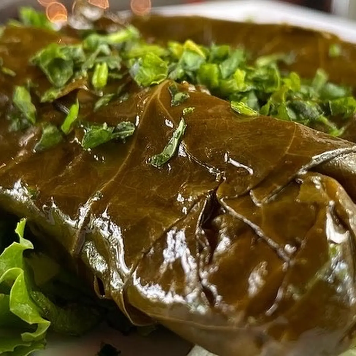 Dolma Stuffed Grape Leaves