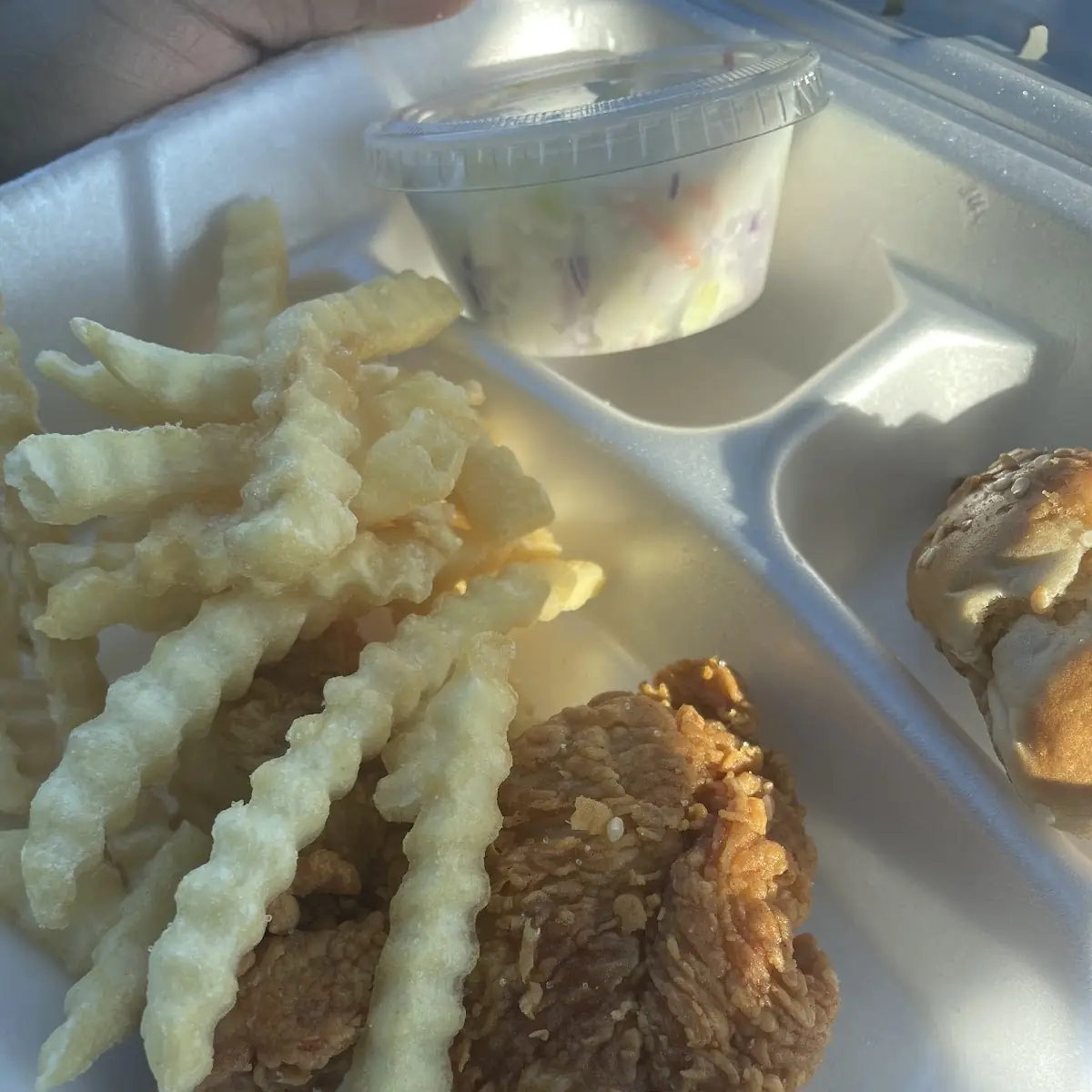 Fried Fish