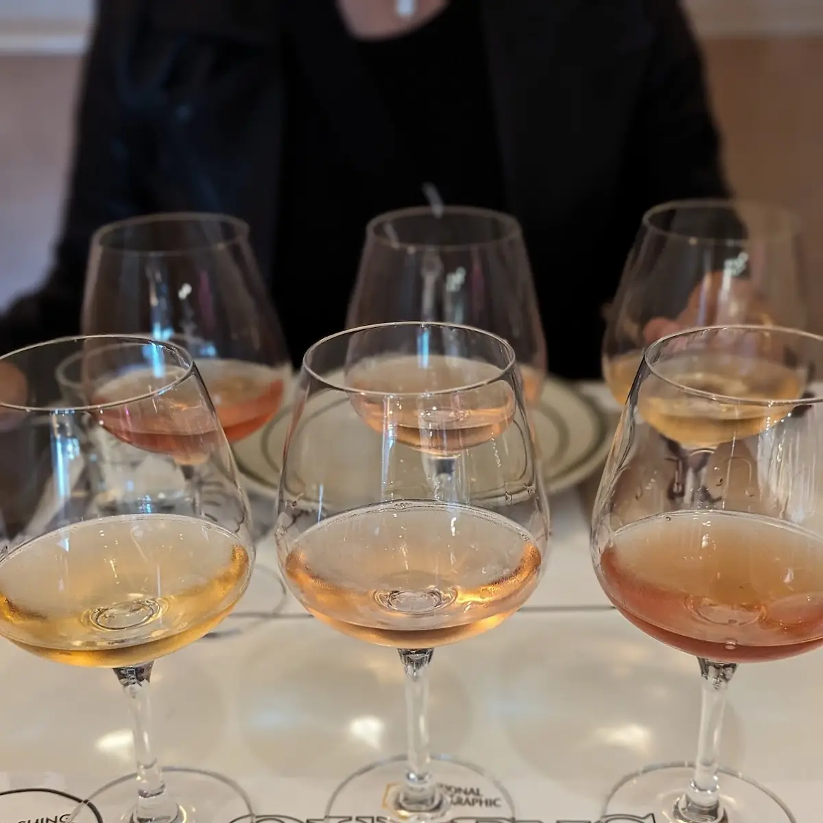 Mimosa Flight