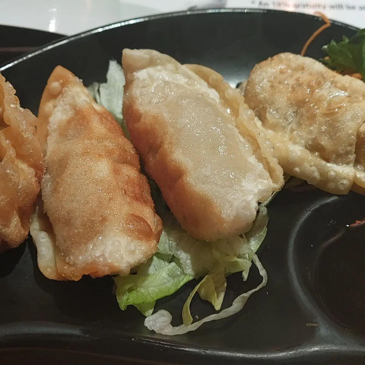 Deep Fried Gyoza