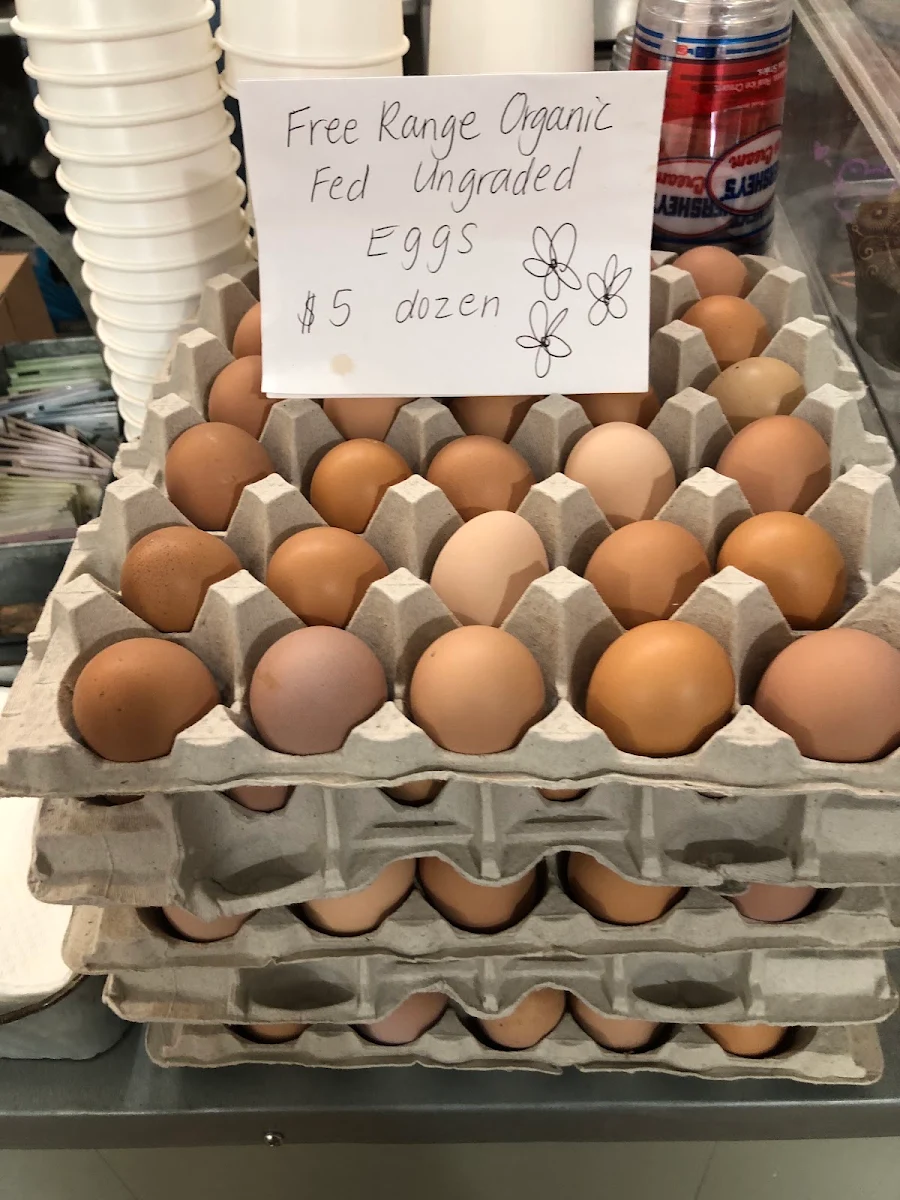 Egg Salad